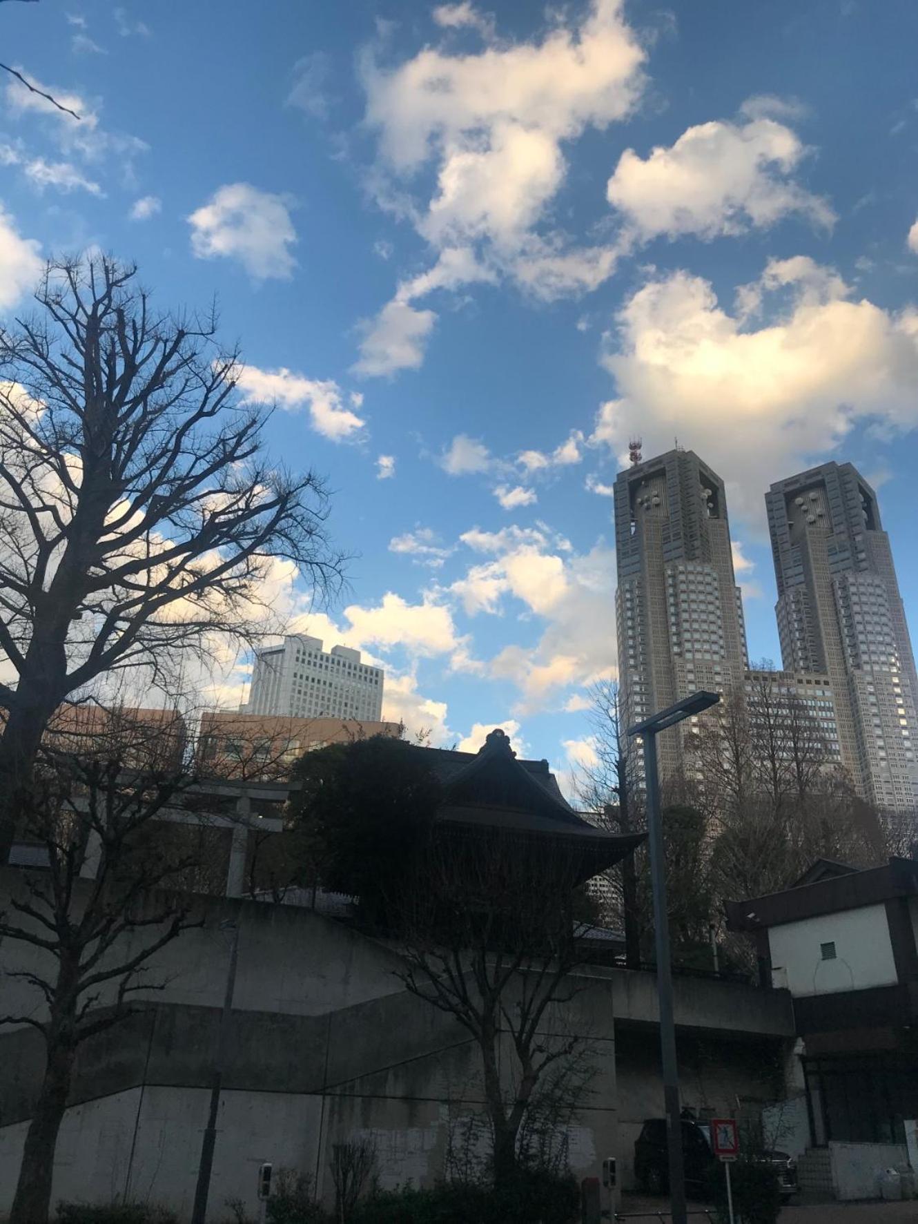 Tokyo Shinjukutei Hotel Asahi Gruop 東京新宿亭ホテル Экстерьер фото
